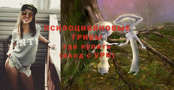 ALPHA-PVP Нязепетровск