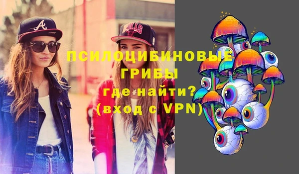 прущая мука Няндома