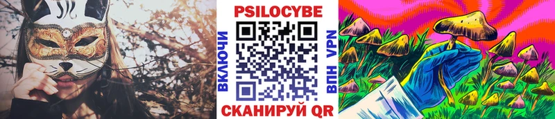 Псилоцибиновые грибы Psilocybine cubensis  Углегорск 